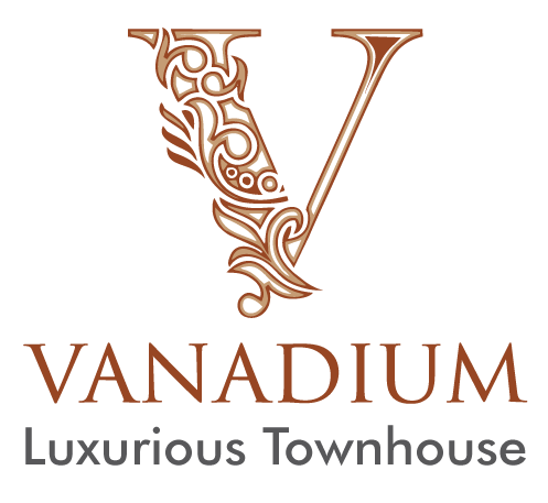 logo-vanadium1