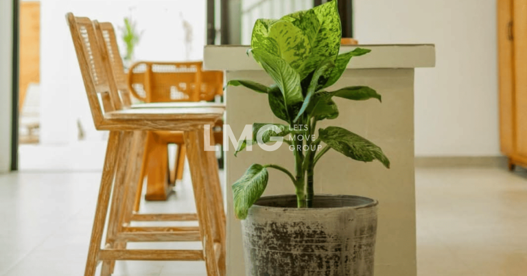 Kitchen - Fleurs Villa